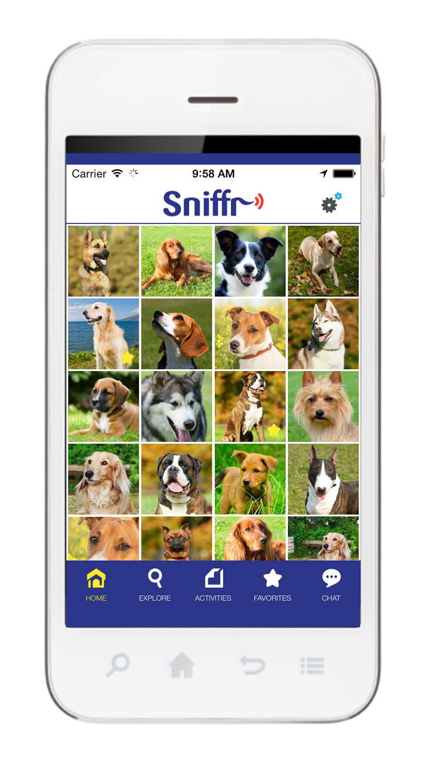 Sniffr | Metador Creative Inc.